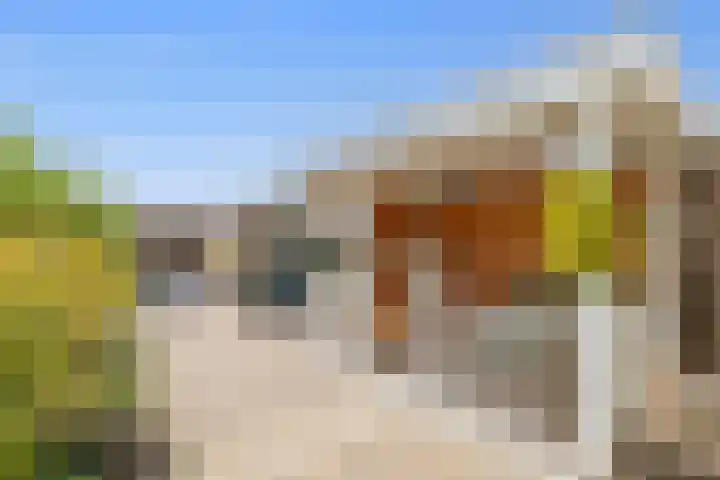 Bloemendaele 17 Heenvliet thumbnail 5