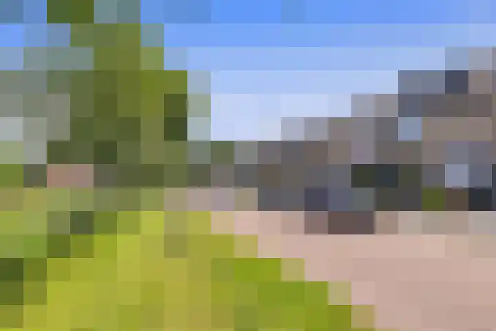Bloemendaele 17 Heenvliet thumbnail 6