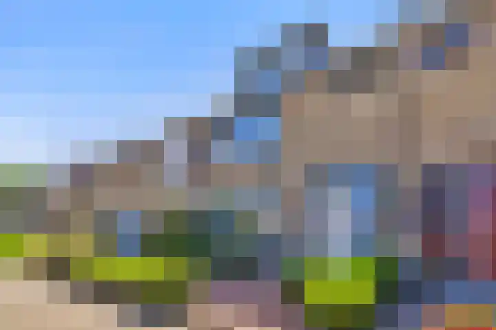 Bloemendaele 17 Heenvliet thumbnail 7