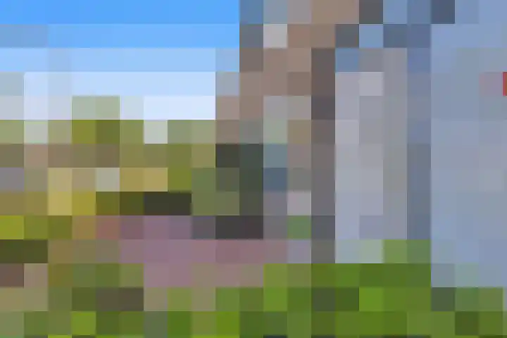 Bloemendaele 17 Heenvliet thumbnail 8
