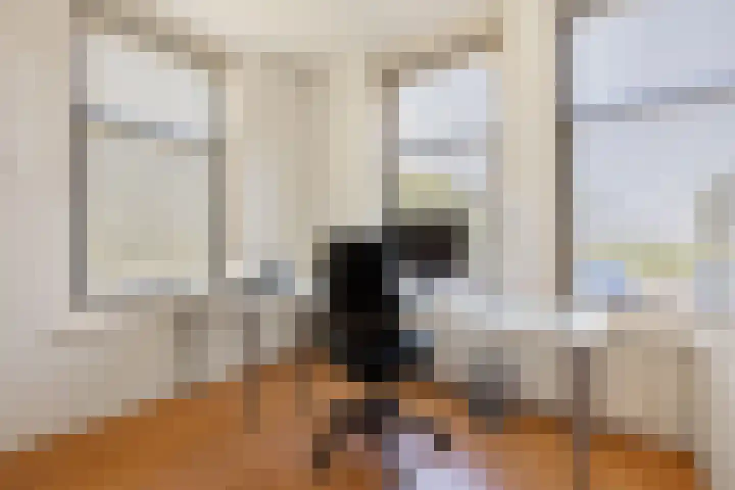 Bloemendalergouw 18 Amsterdam thumbnail 11