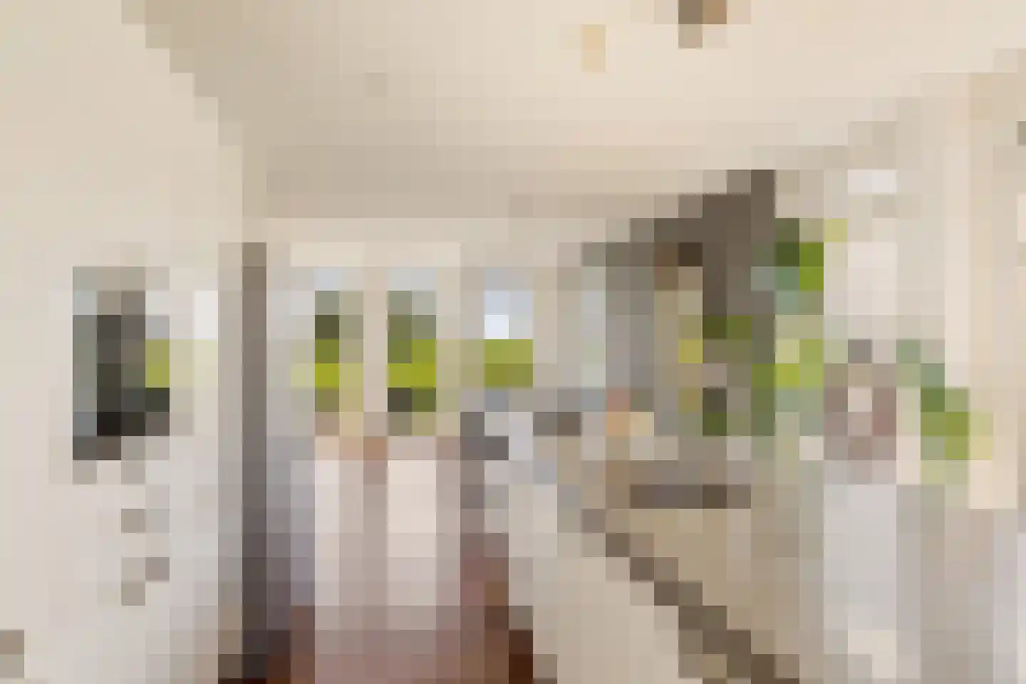 Bloemendalergouw 18 Amsterdam thumbnail 20