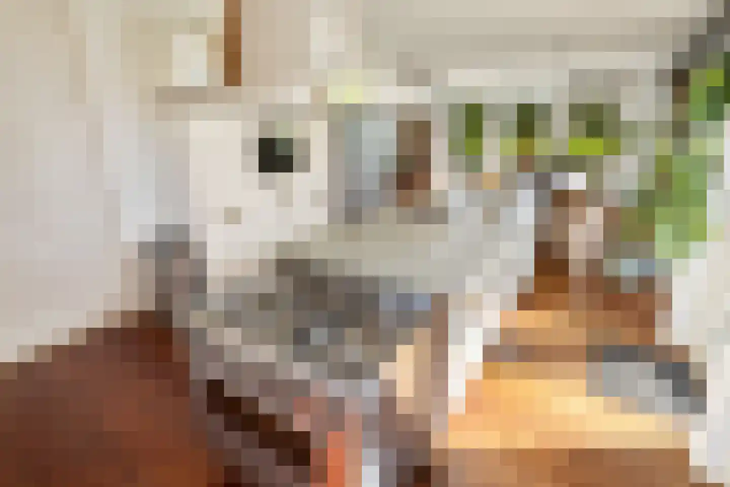 Bloemendalergouw 18 Amsterdam thumbnail 23