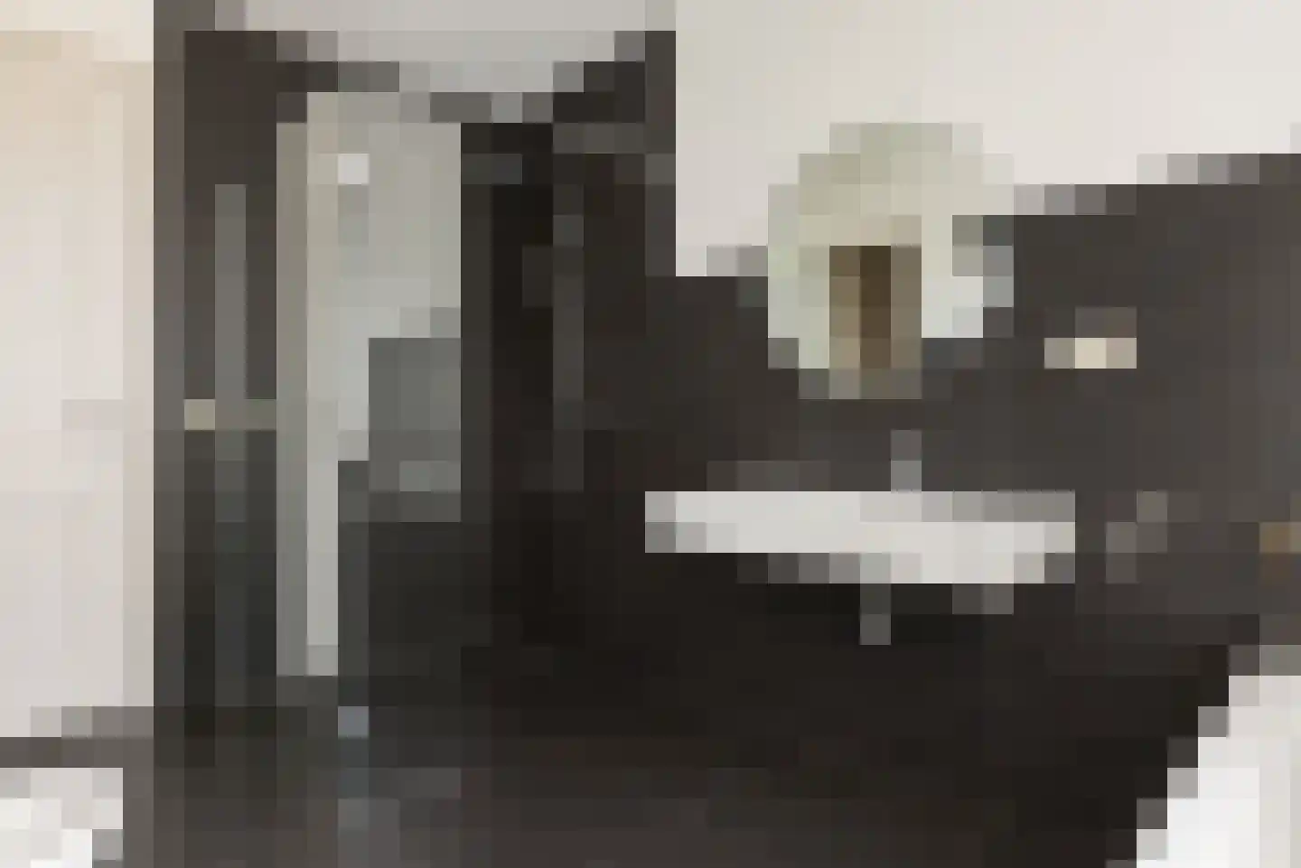 Bloemendalergouw 18 Amsterdam thumbnail 36