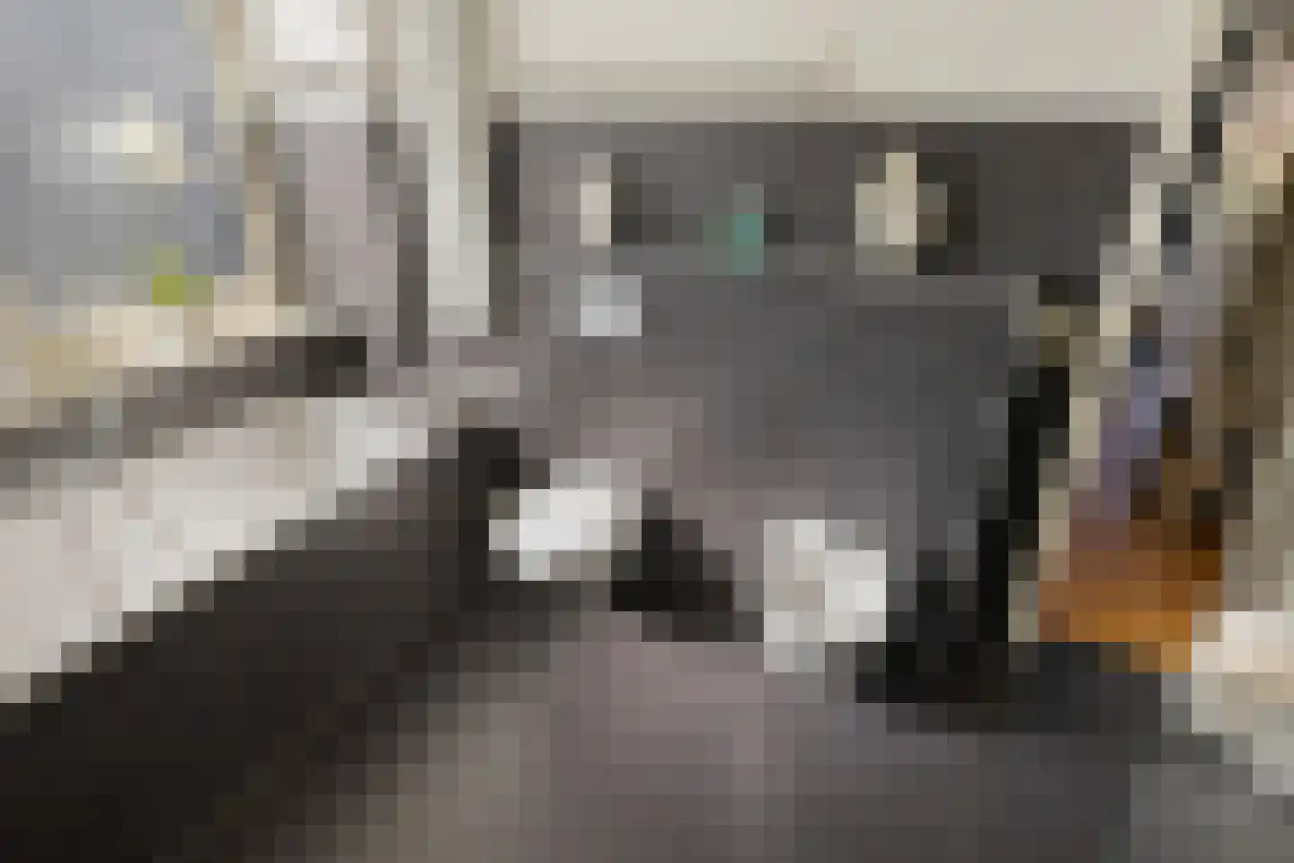 Bloemendalergouw 18 Amsterdam thumbnail 38