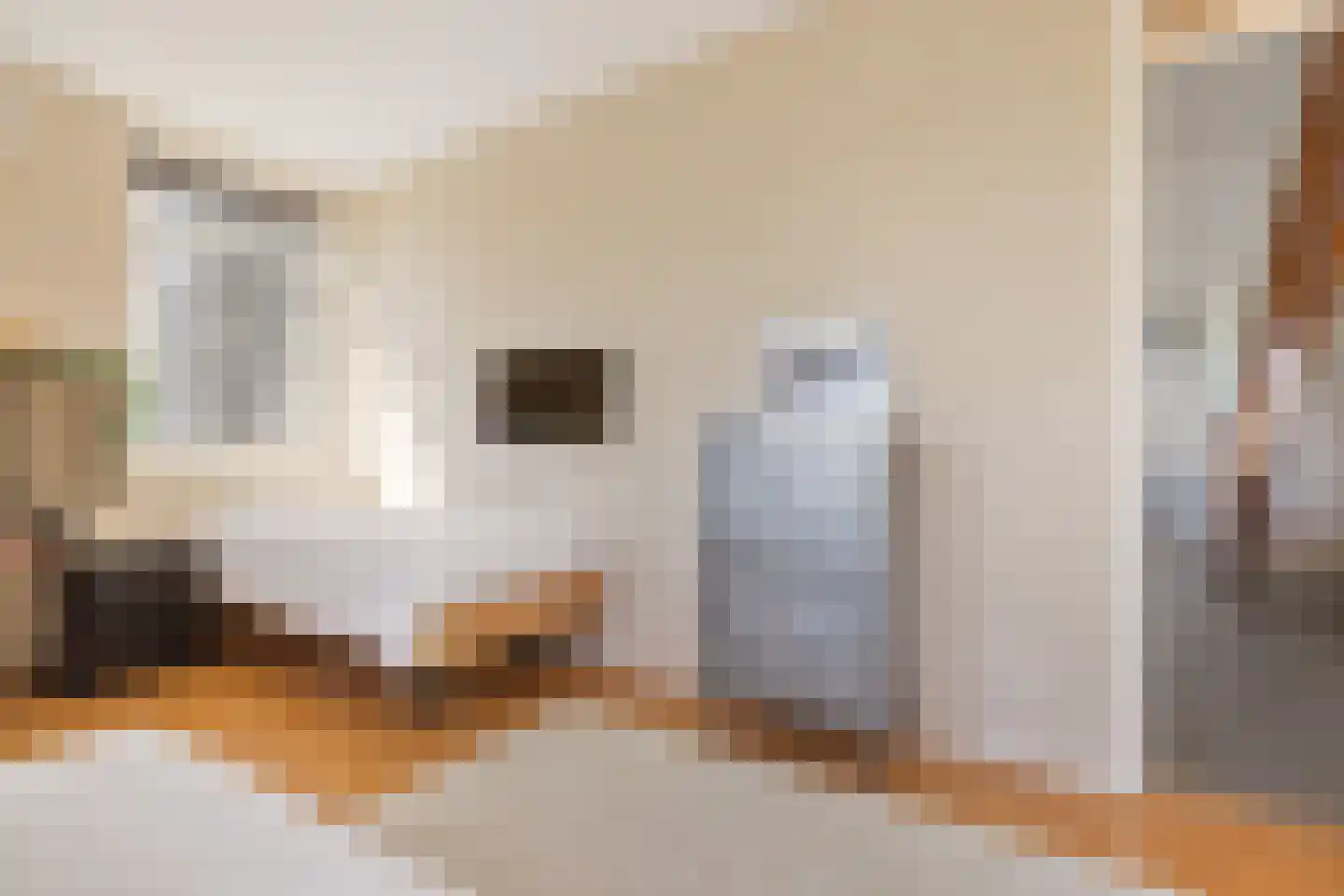 Bloemendalergouw 18 Amsterdam thumbnail 41