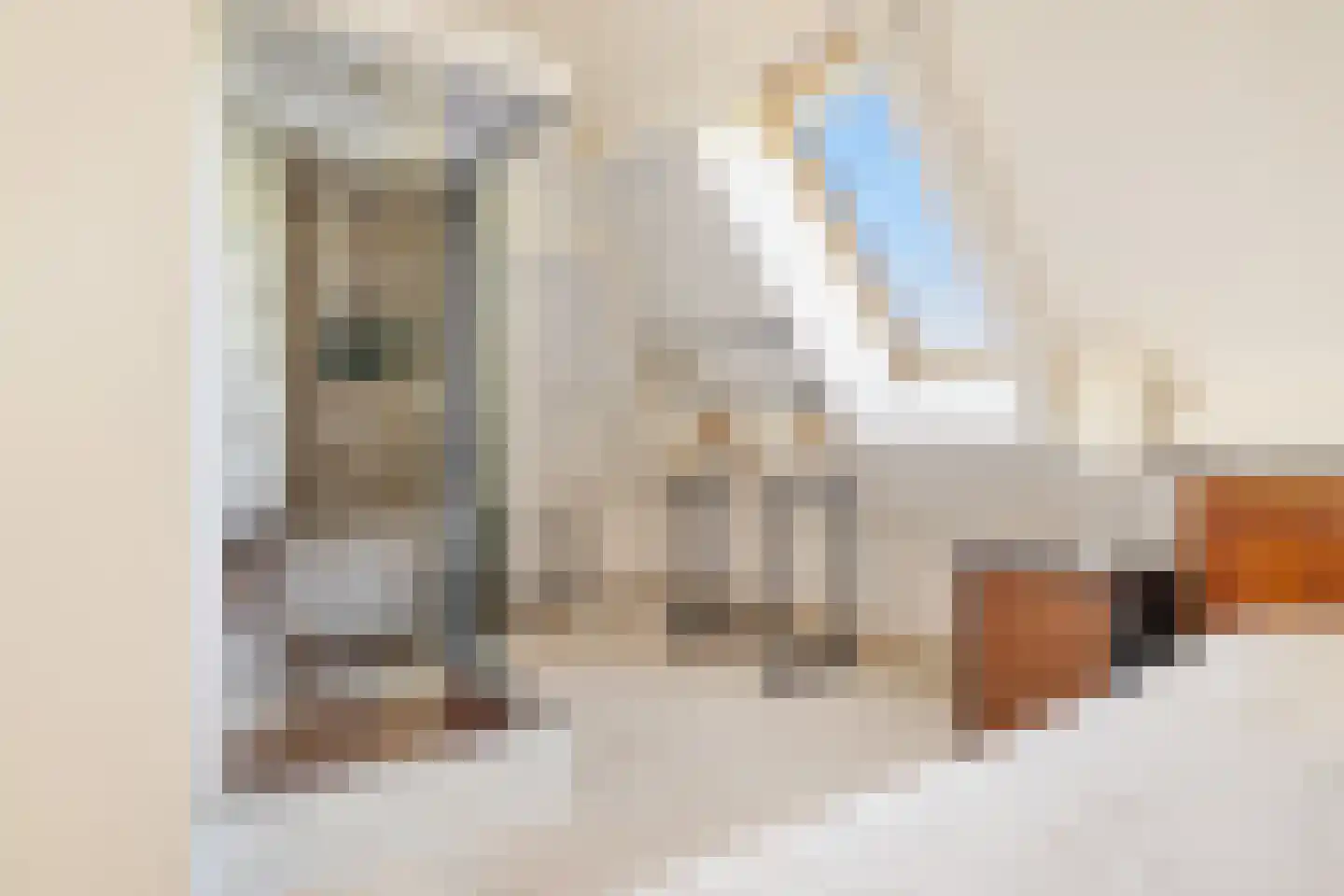 Bloemendalergouw 18 Amsterdam thumbnail 48