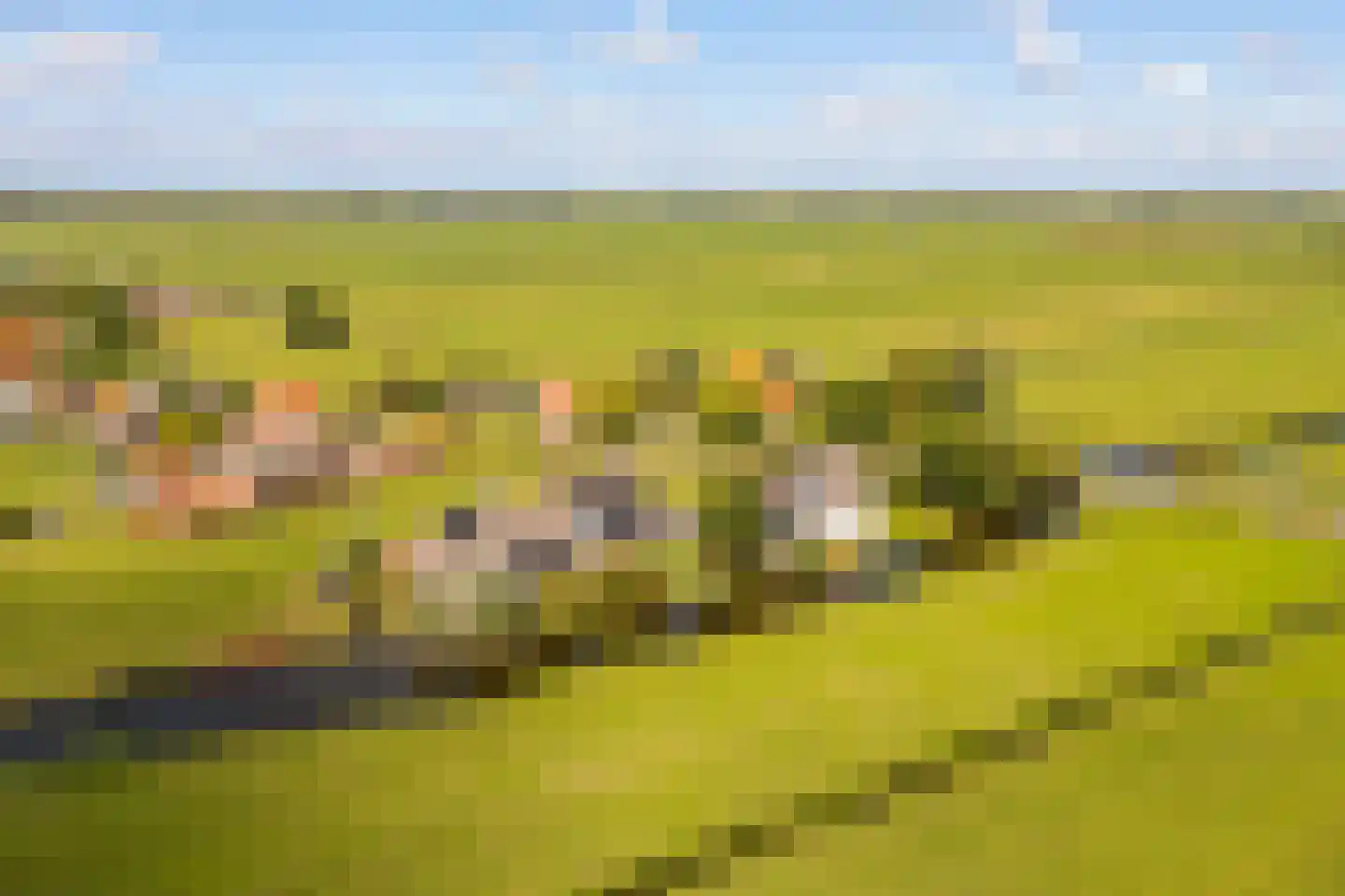 Bloemendalergouw 18 Amsterdam thumbnail 53