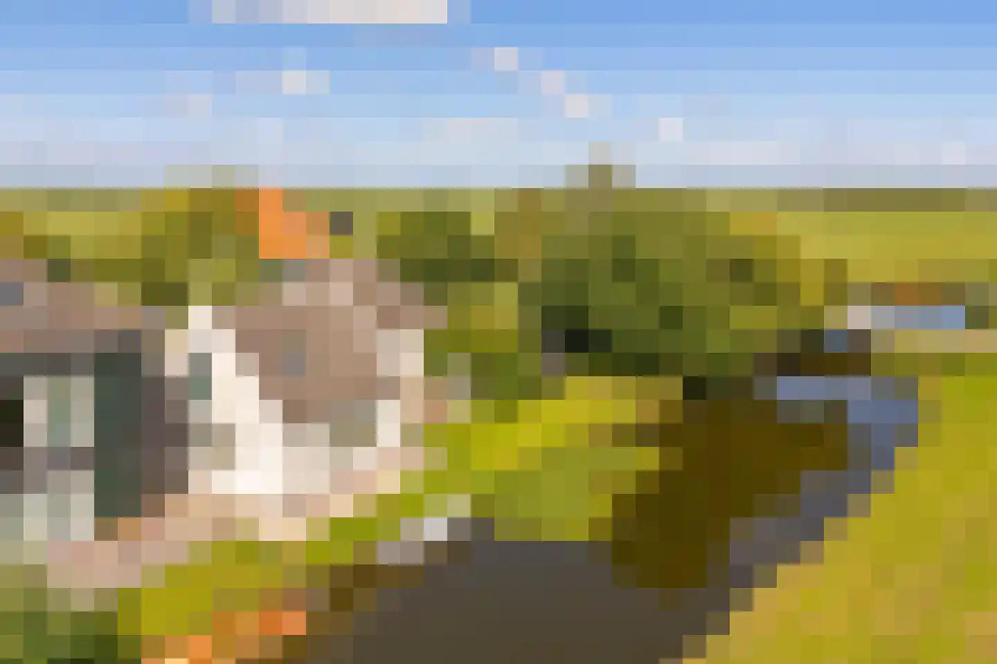 Bloemendalergouw 18 Amsterdam thumbnail 54