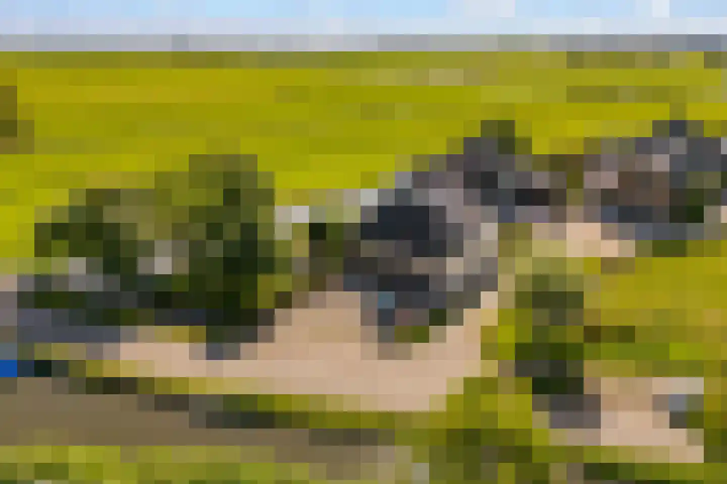 Bloemendalergouw 18 Amsterdam thumbnail 57