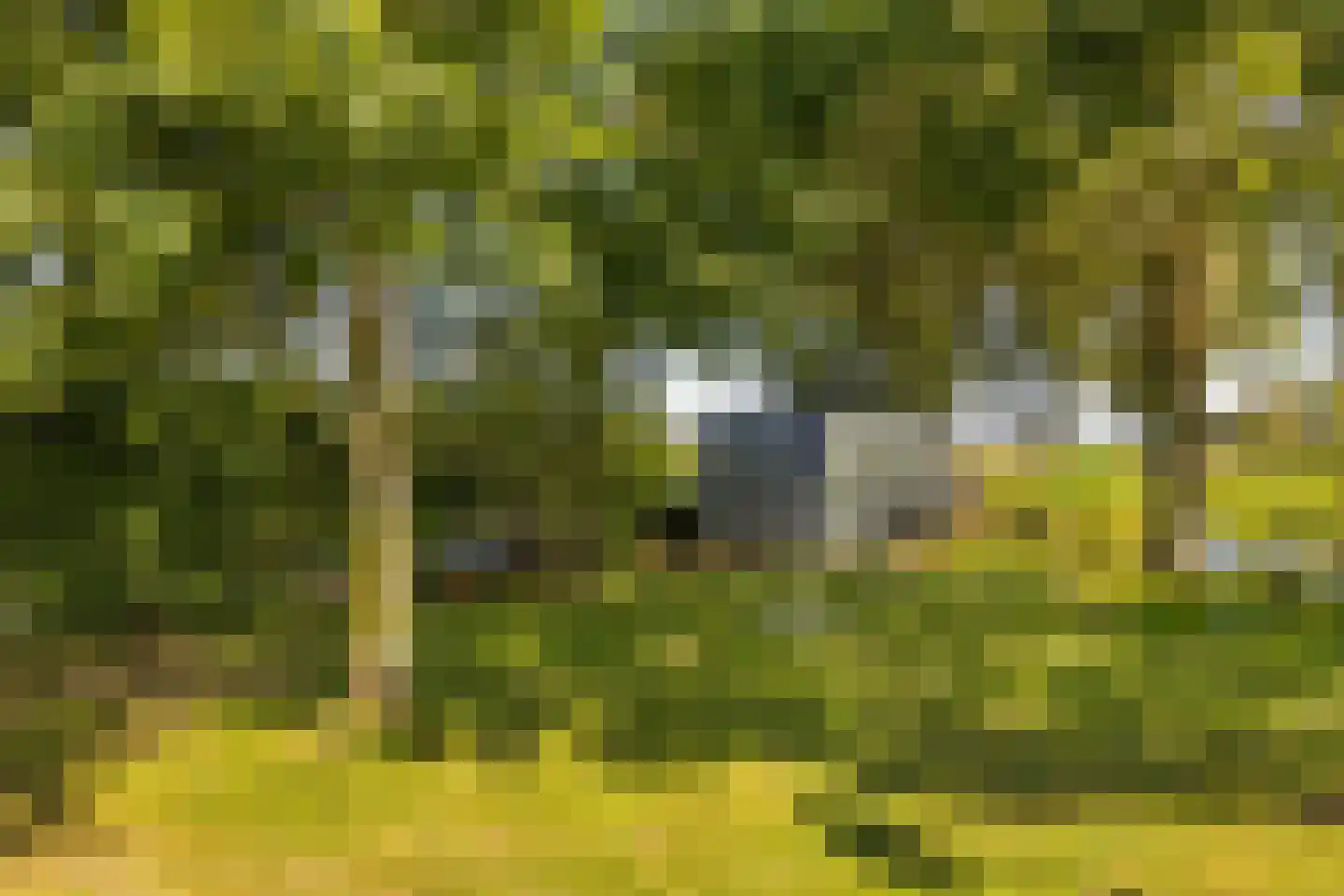Bloemendalergouw 18 Amsterdam thumbnail 63