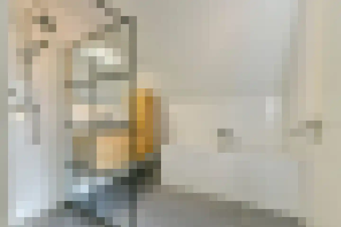 Bloemendalergouw 51 A Amsterdam thumbnail 19
