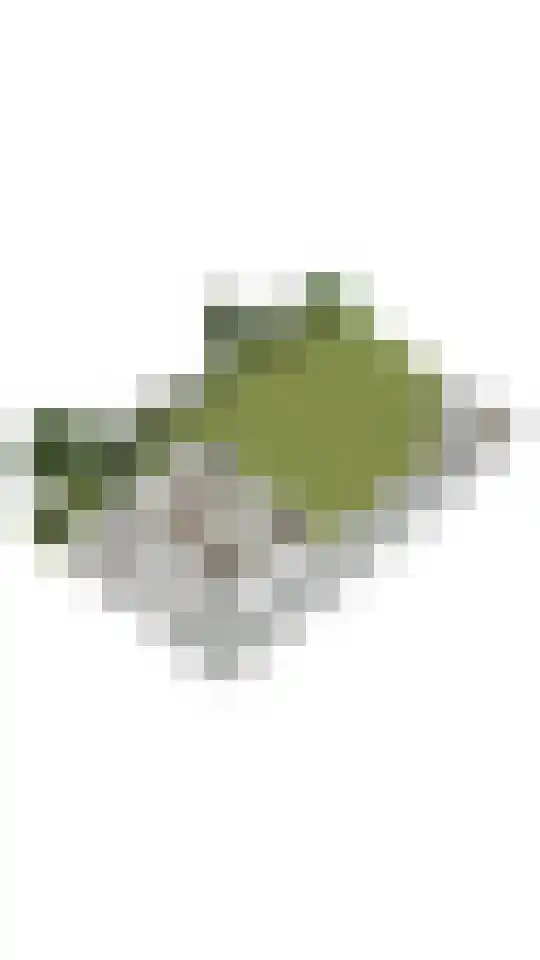 Bloemendalergouw 51 A Amsterdam thumbnail 31