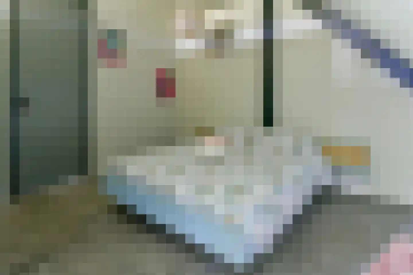 Bloemendalergouw 51 B Amsterdam thumbnail 22