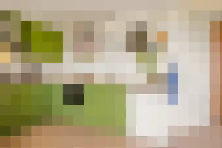 Bloemendalergouw 63 Amsterdam thumbnail 10