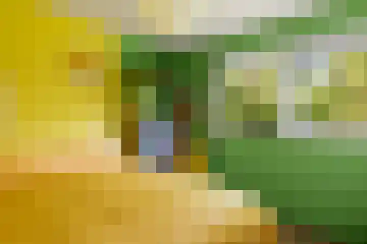 Bloemendalergouw 63 Amsterdam thumbnail 19