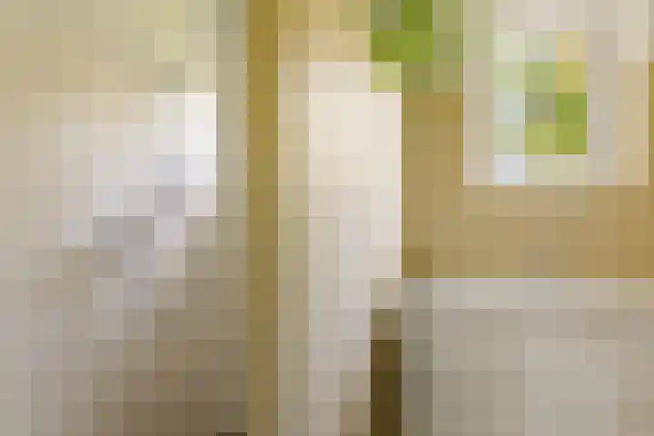 Bloemendalergouw 63 Amsterdam thumbnail 21