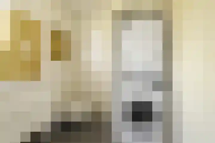 Bloemendalergouw 63 Amsterdam thumbnail 23