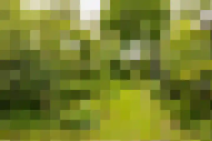 Bloemendalergouw 63 Amsterdam thumbnail 32