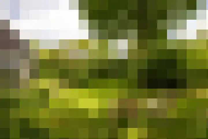 Bloemendalergouw 63 Amsterdam thumbnail 33