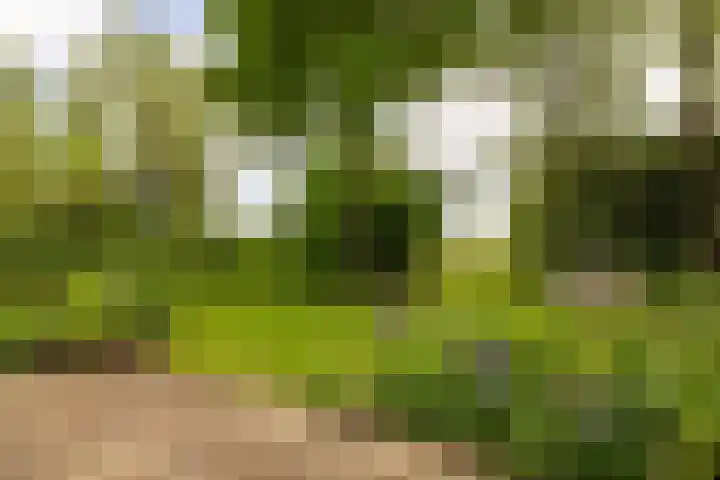 Bloemendalergouw 63 Amsterdam thumbnail 34