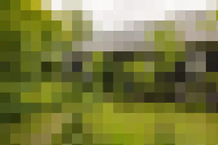 Bloemendalergouw 63 Amsterdam thumbnail 36