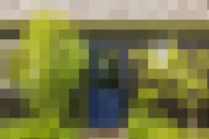 Bloemendalergouw 63 Amsterdam thumbnail 37