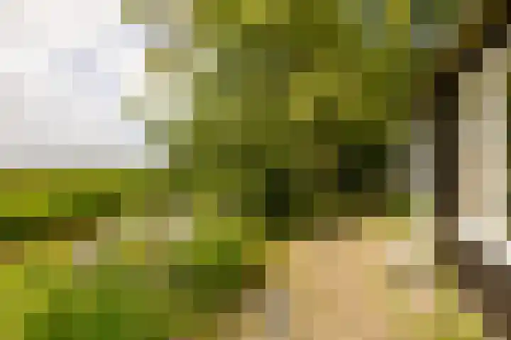 Bloemendalergouw 63 Amsterdam thumbnail 39