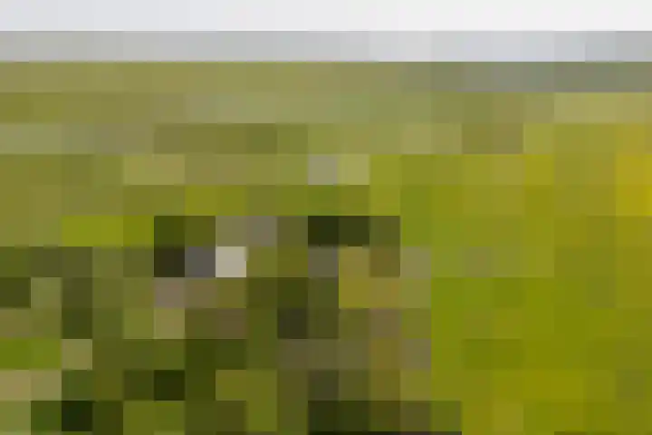 Bloemendalergouw 63 Amsterdam thumbnail 40