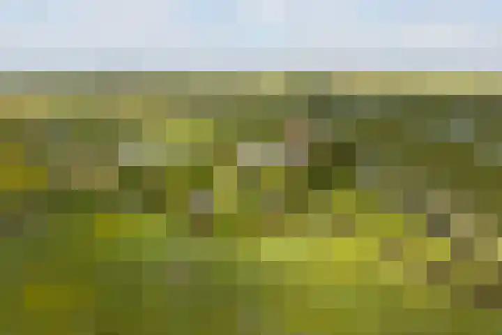 Bloemendalergouw 63 Amsterdam thumbnail 41