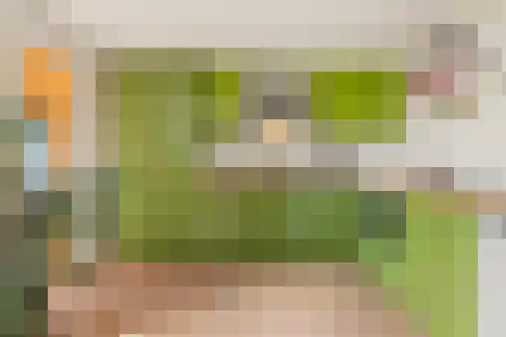 Bloemendalergouw 63 Amsterdam thumbnail 9