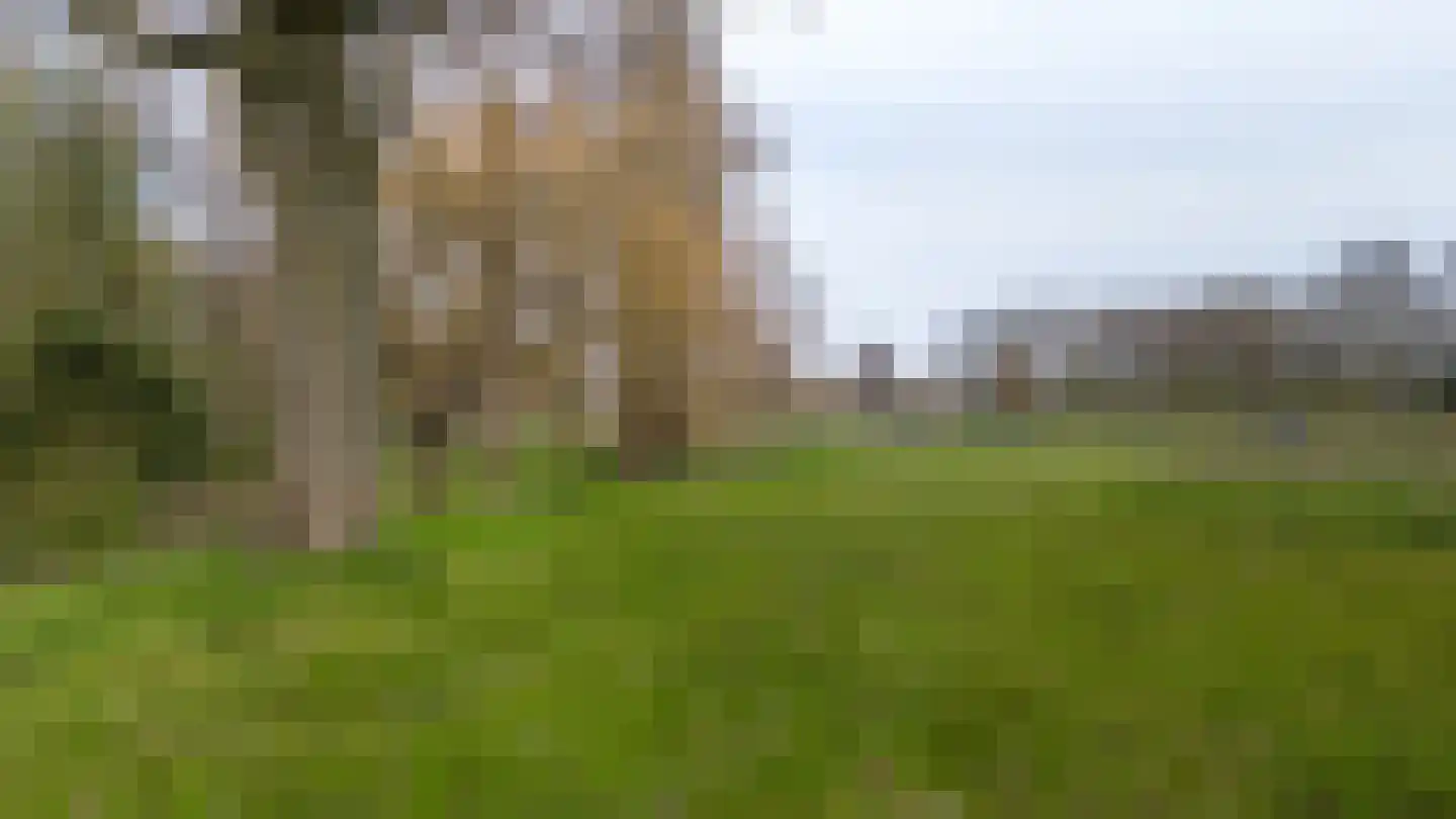 Bloemendalerhof 6 Sittard thumbnail 25