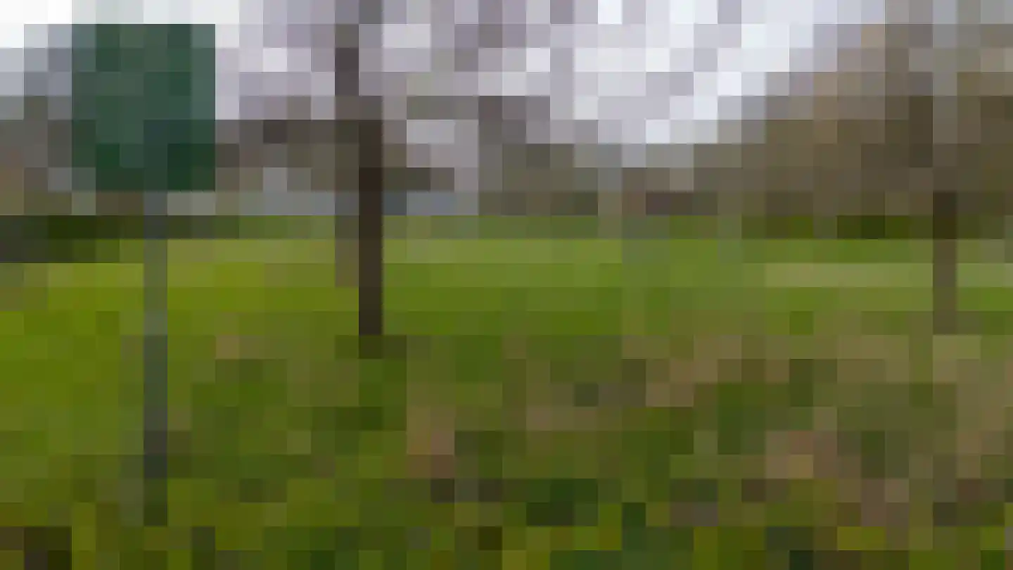 Bloemendalerhof 6 Sittard thumbnail 26