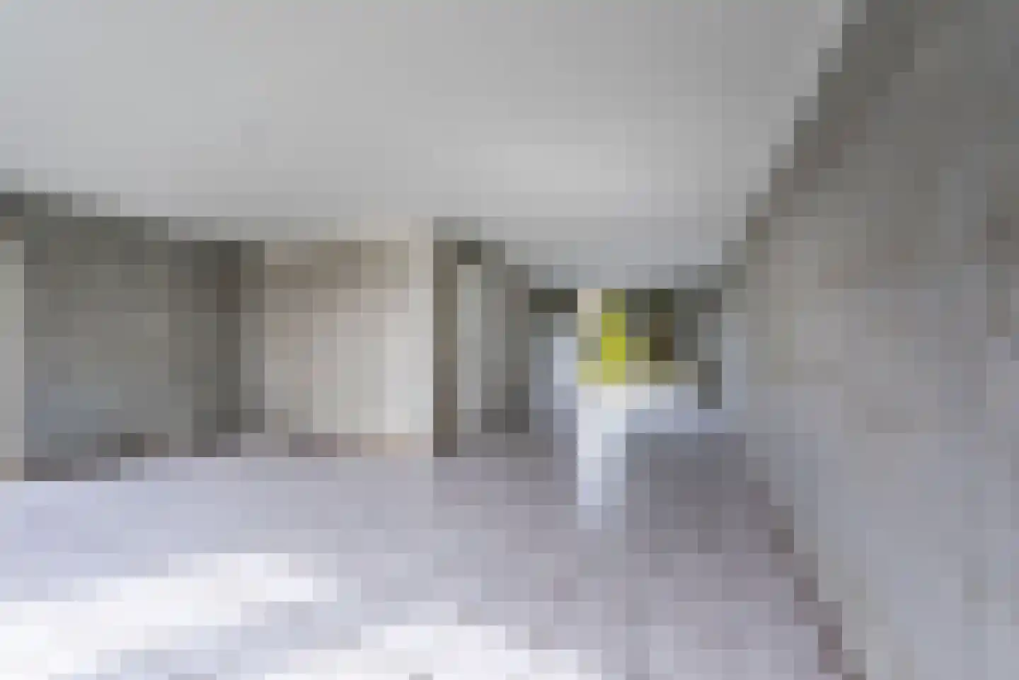 Bloemendalerhof 6 Sittard thumbnail 8
