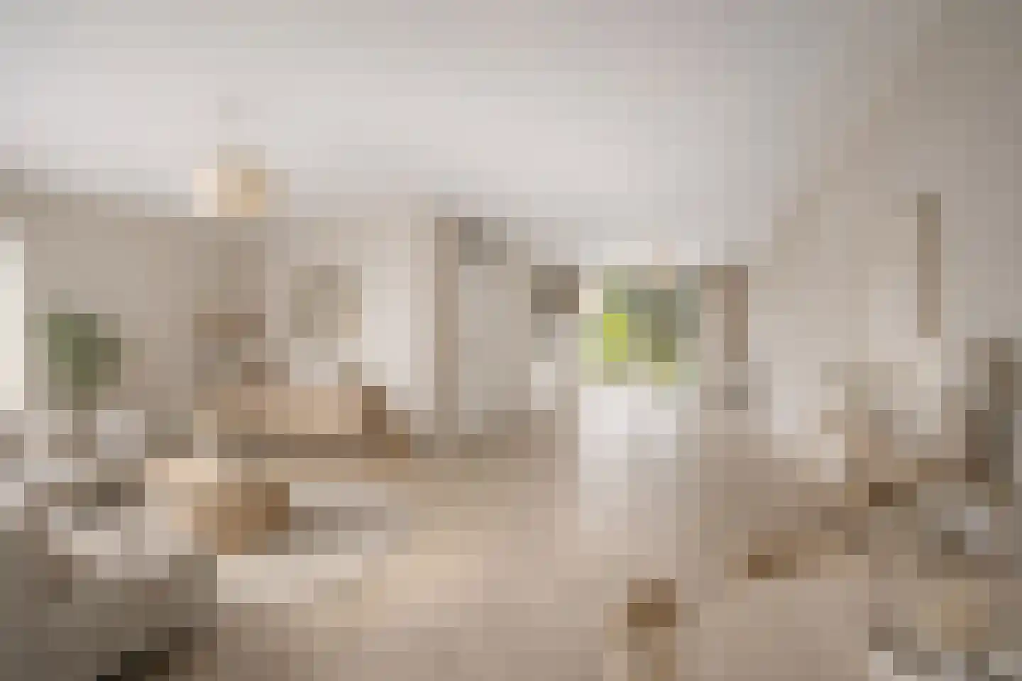 Bloemendalerhof 6 Sittard thumbnail 9
