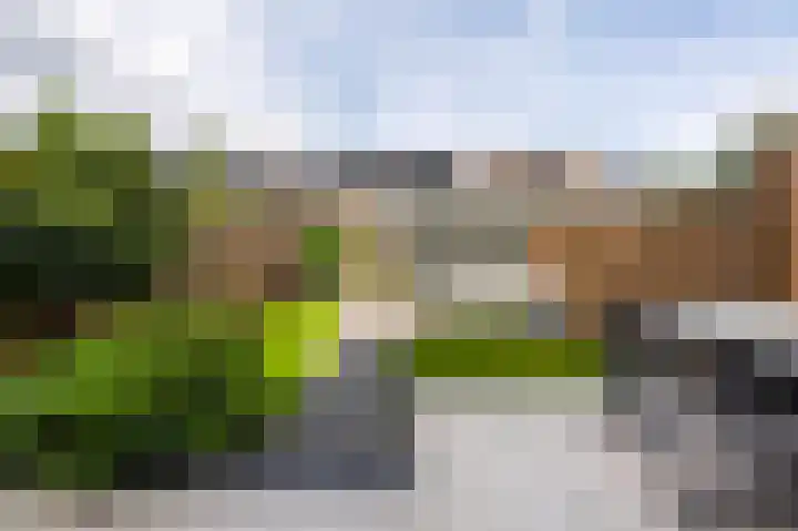 Bloemendalerpoldersingel 98 Weesp thumbnail 17