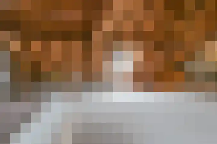 Bloemendalse Binnenpoort 8 Amersfoort thumbnail 30