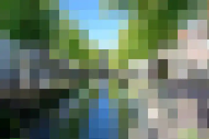 Bloemendalse Binnenpoort 8 Amersfoort thumbnail 39