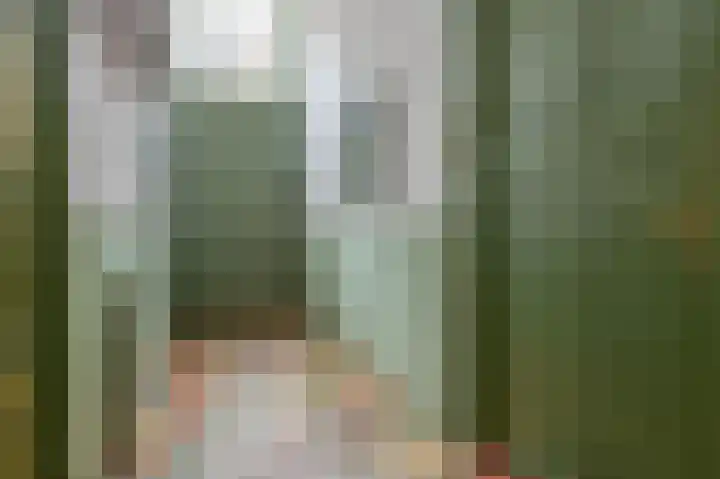 Bloemendalse Binnenpoort 8 Amersfoort thumbnail 4