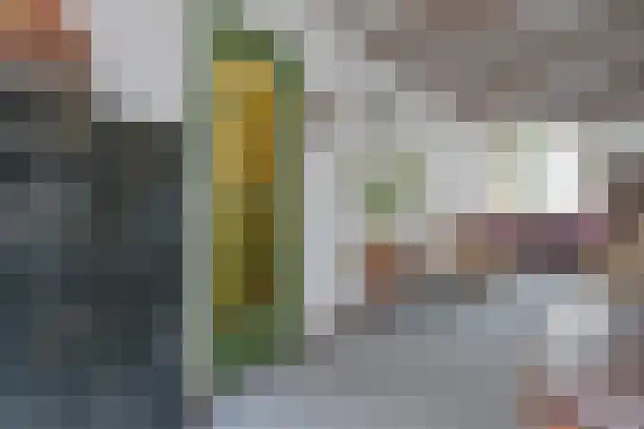 Bloemendalse Binnenpoort 8 Amersfoort thumbnail 6