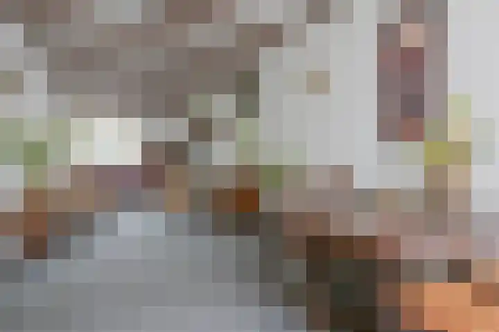 Bloemendalse Binnenpoort 8 Amersfoort thumbnail 7