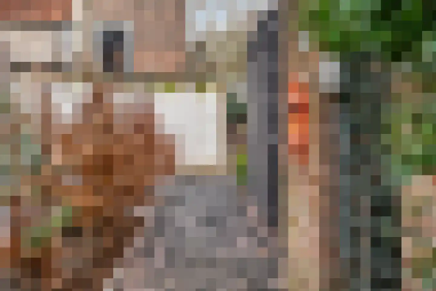 Bloemendalsestraat 47 A Amersfoort thumbnail 30