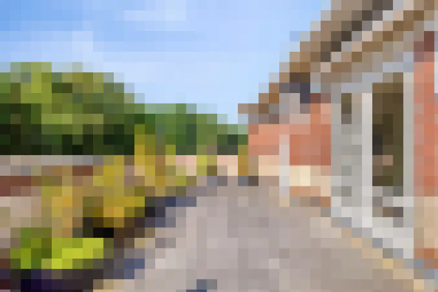 Bloemendalsweg 13 F 48 Colmschate thumbnail 19