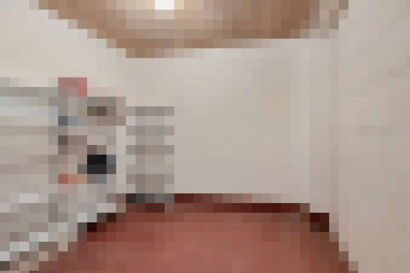 Bloemendalsweg 13 F 48 Colmschate thumbnail 31