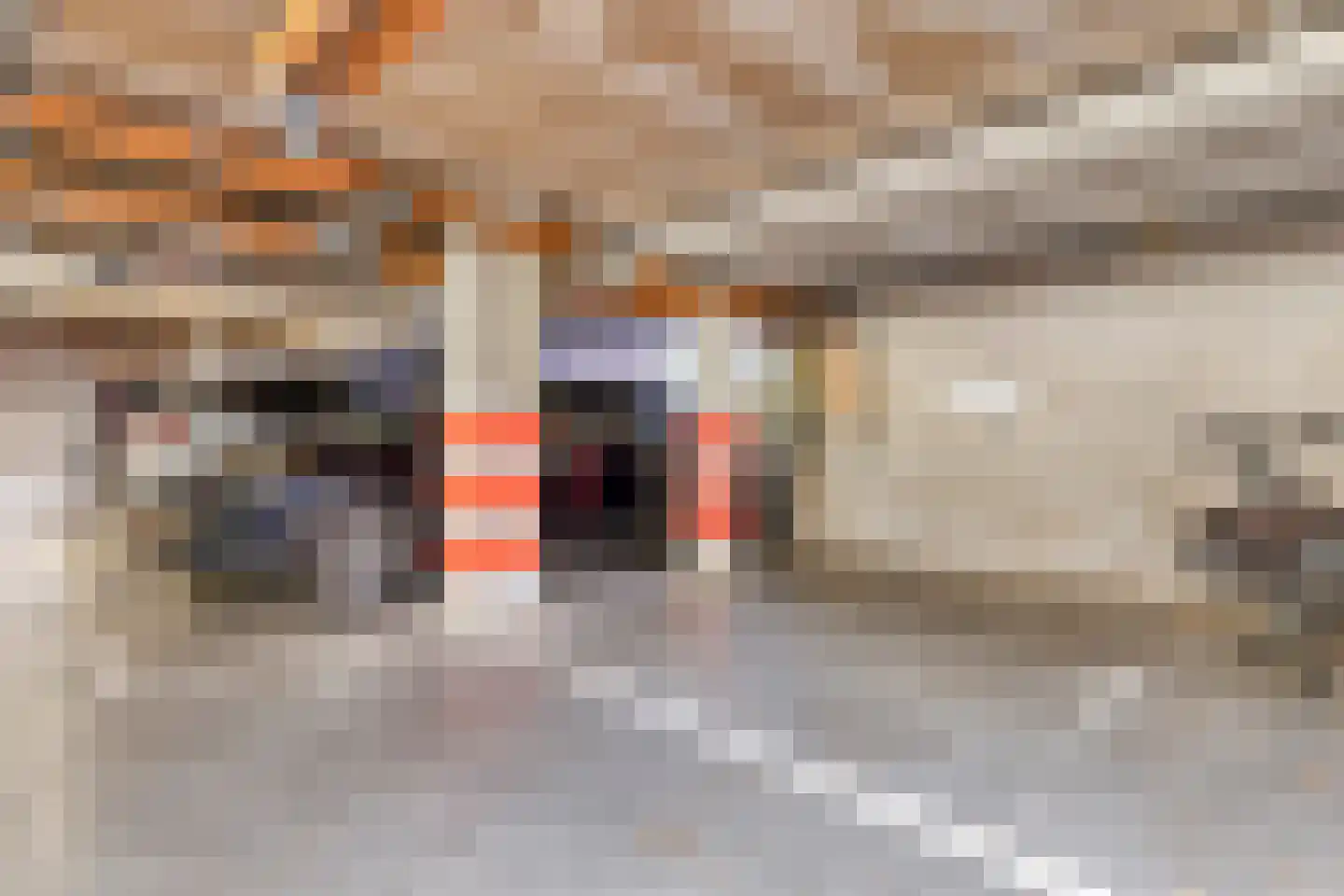 Bloemendalsweg 13 F 48 Colmschate thumbnail 32