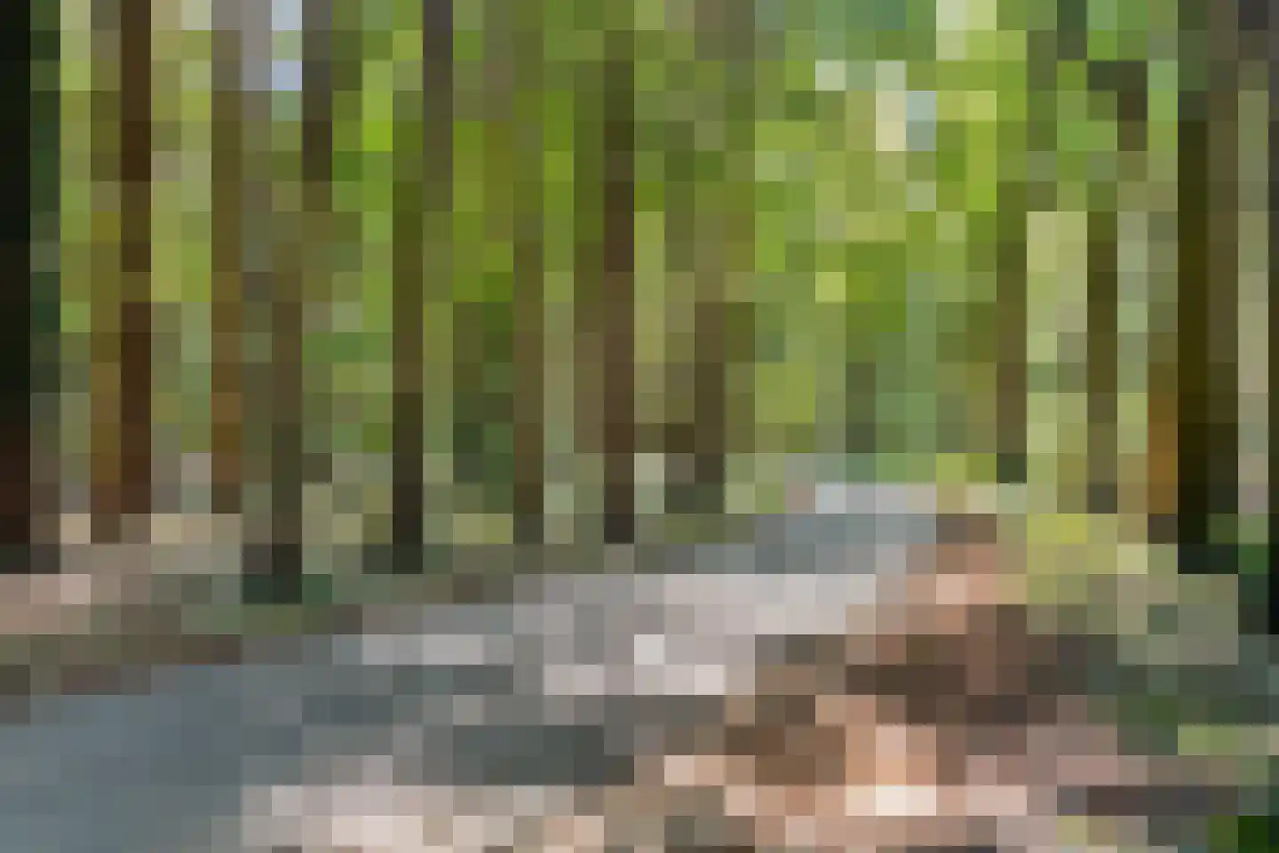 Bloemendalsweg 13 F 48 Colmschate thumbnail 35