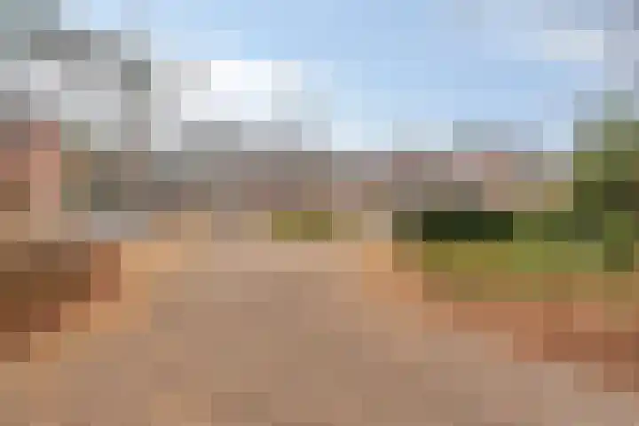 Bloemendalsweg 13 F 9 Colmschate thumbnail 10