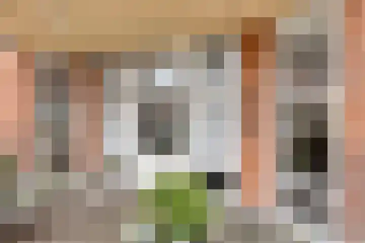 Bloemendalsweg 13 F 9 Colmschate thumbnail 11