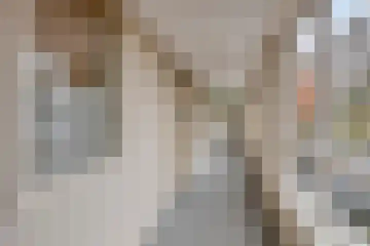 Bloemendalsweg 13 F 9 Colmschate thumbnail 12