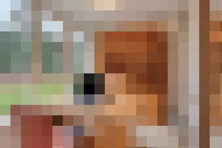 Bloemendalsweg 13 F 9 Colmschate thumbnail 21